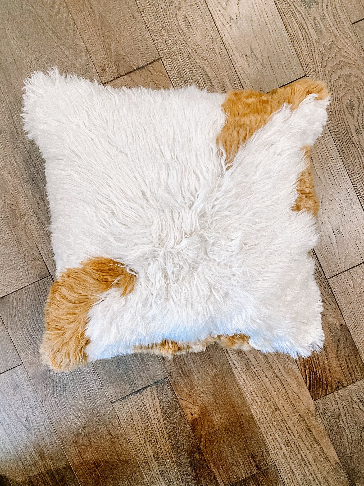 Alpaca Fur Pillow Cover – Luxurious Handmade