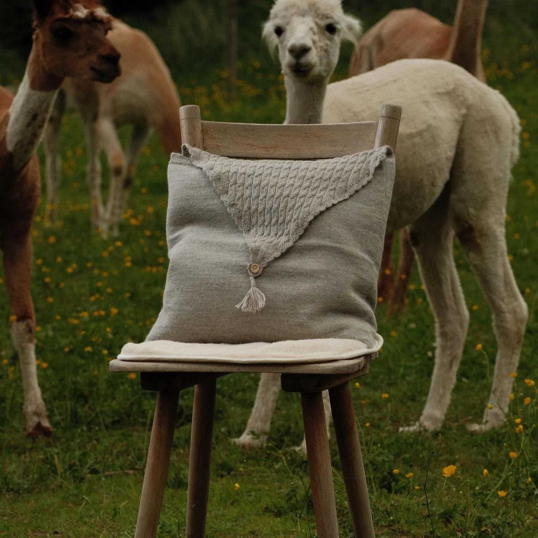 Baby Alpaca Pillow Cover – Modern Elegance